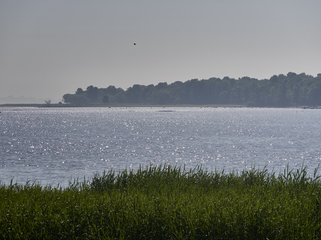 20130603-102616•Peterhof Palace•Peterhof•St.Petersburg•Russia
